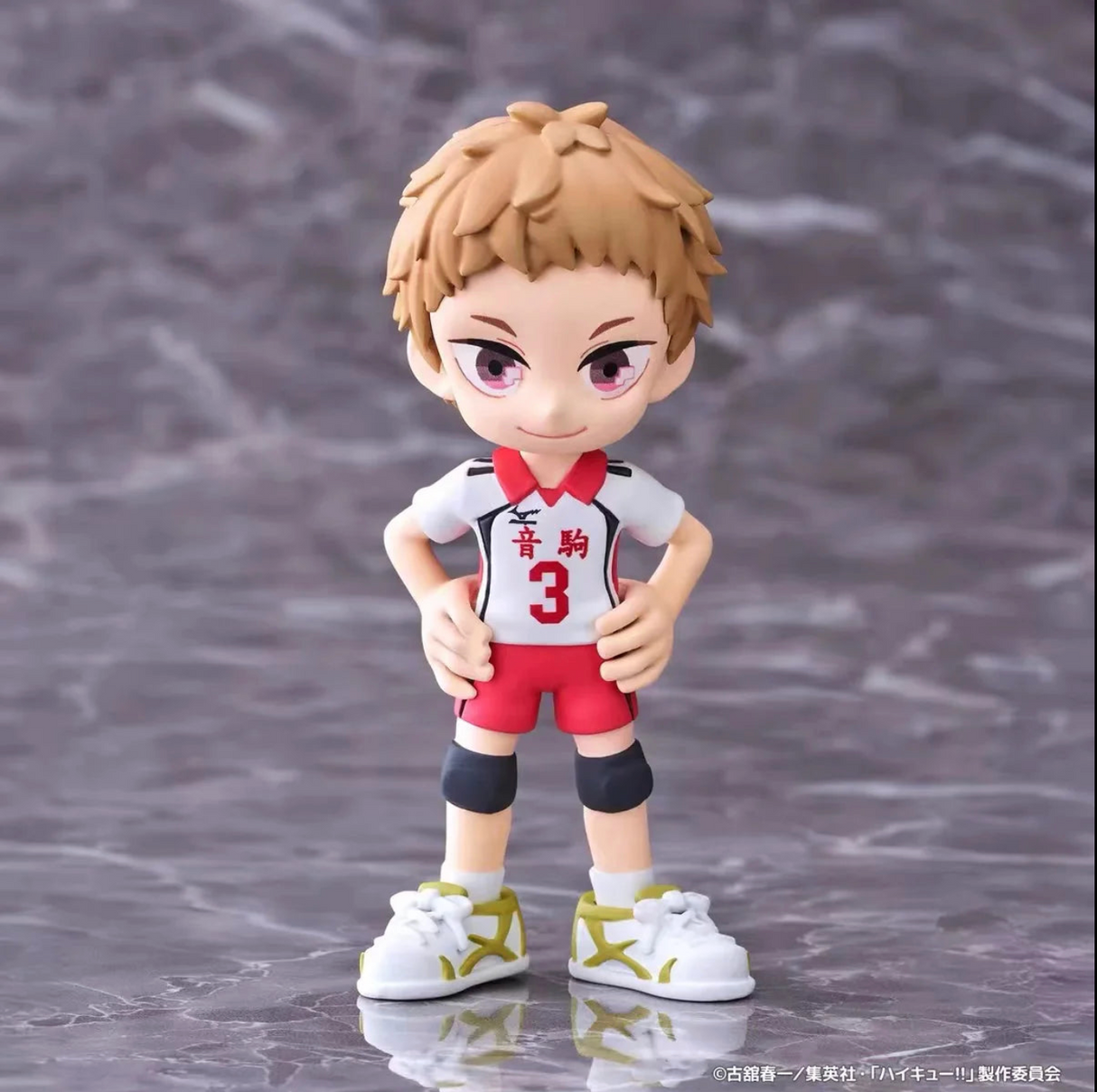 Bushiroad PalVerse Haikyu!! (Blind Box)
