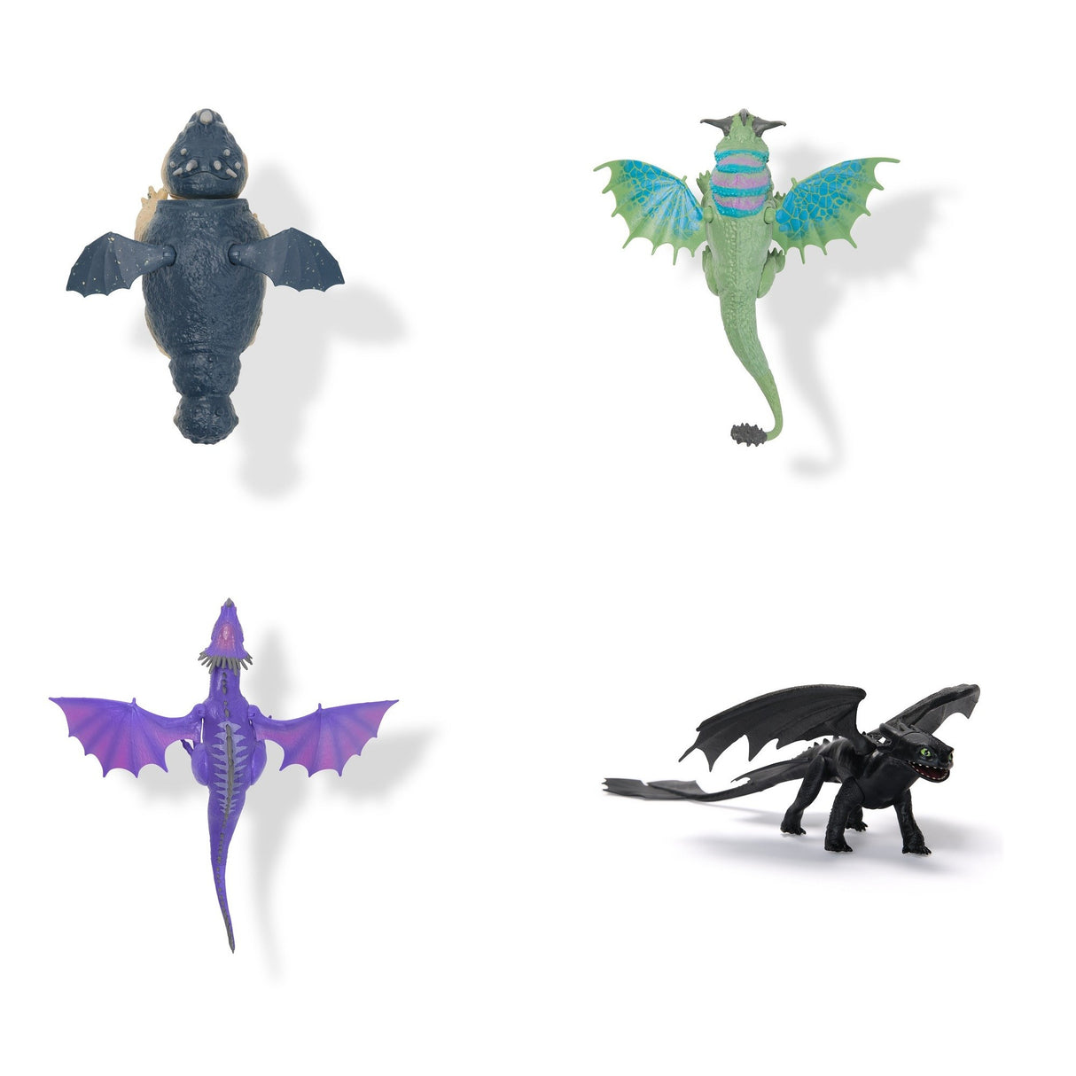 How to Train Your Dragon Basic Dragon - Randomized