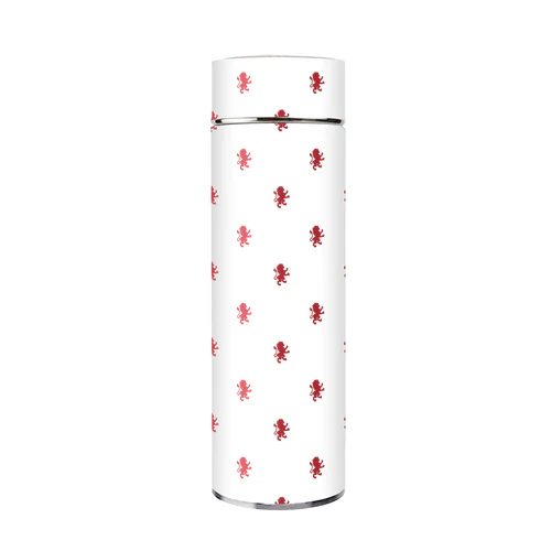 BDARI HARRY POTTER FLASK  300 ML (Assorted)