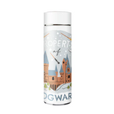 BDARI HARRY POTTER FLASK  300 ML (Assorted)