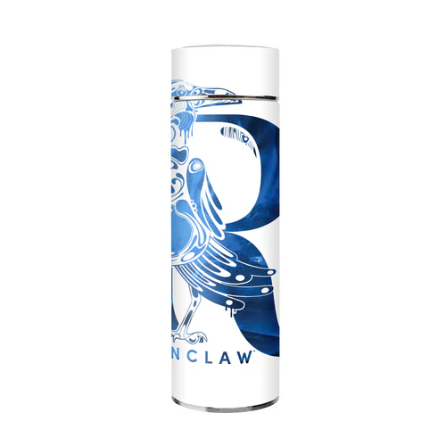 BDARI HARRY POTTER FLASK  300 ML (Assorted)